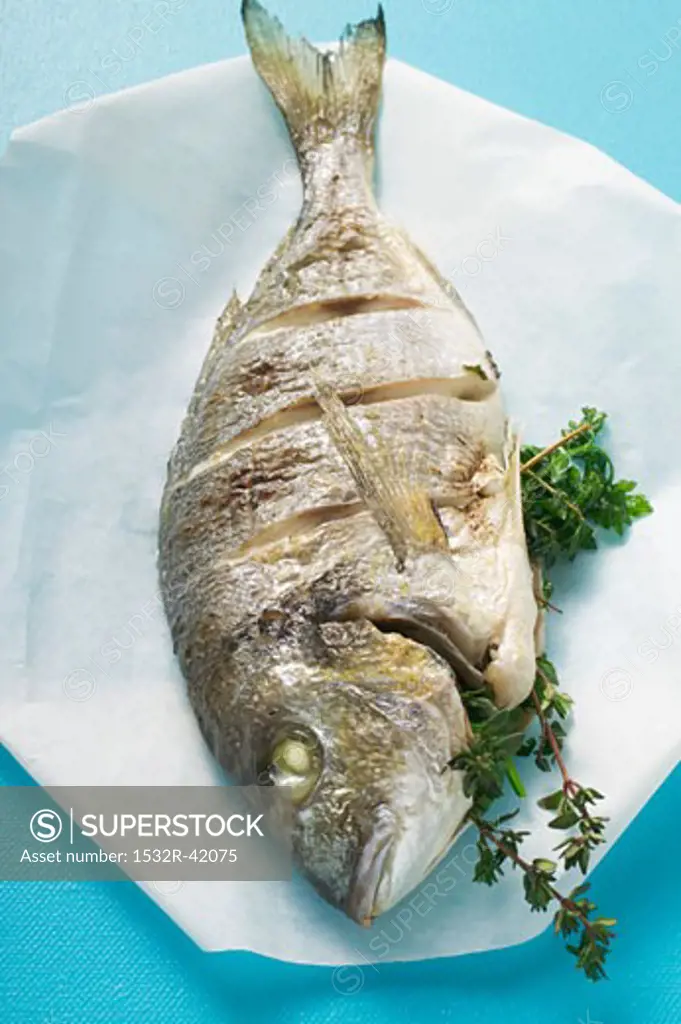 Whole fried sea bream on paper