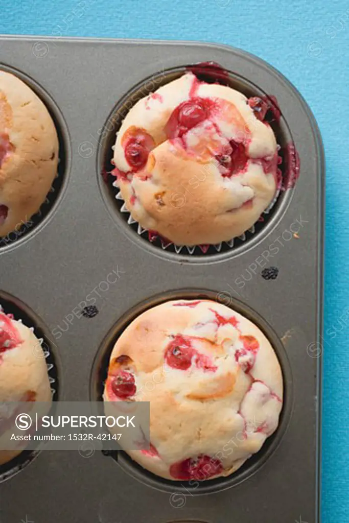 Redcurrant muffins in baking tin (overhead view)
