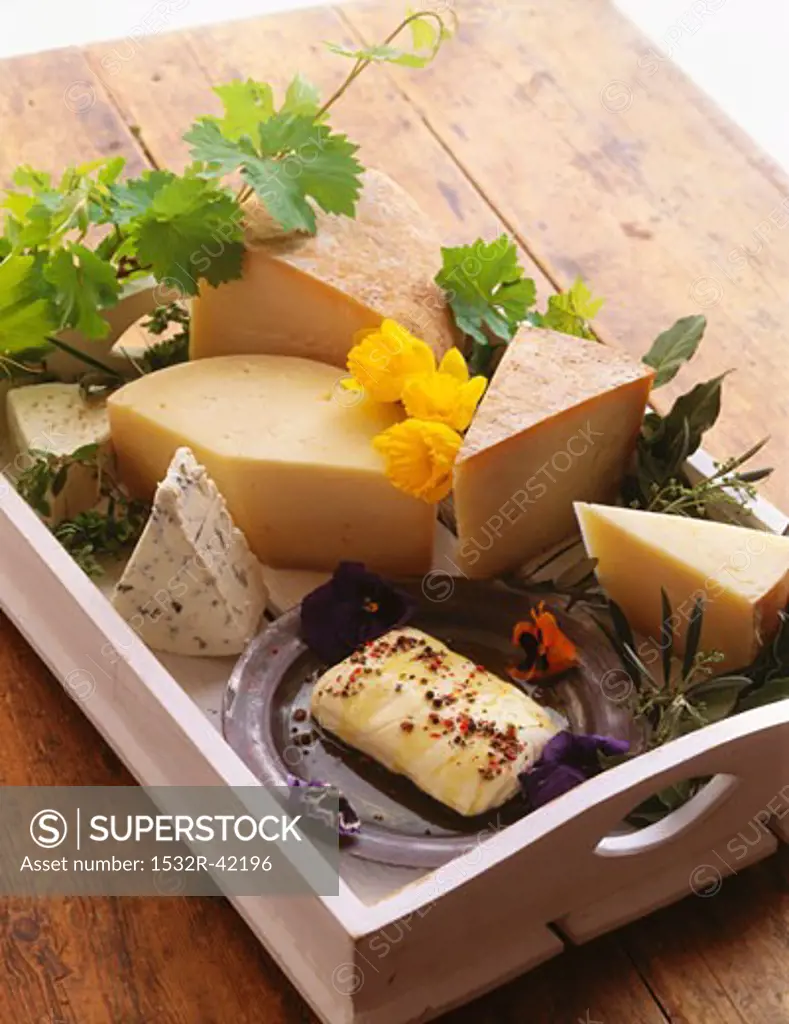 Assorted Cheese on a Tray