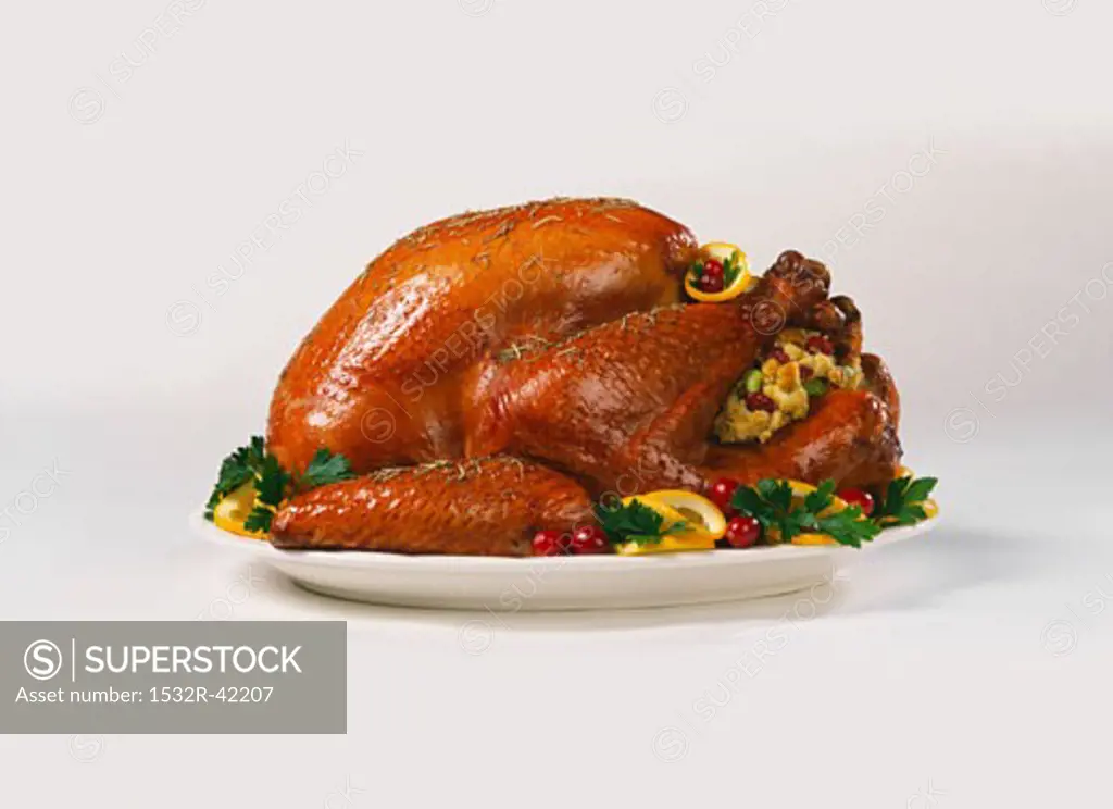 Stuffed Roasted Turkey on a Platter