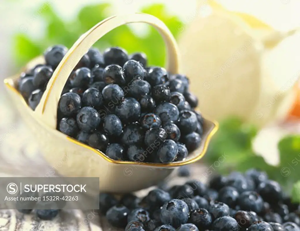 Small Dish of Blueberries; Loose Blueberries