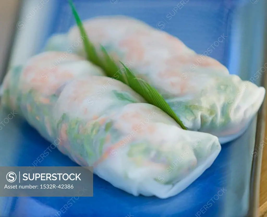 Two Spring Rolls on Blue Dish