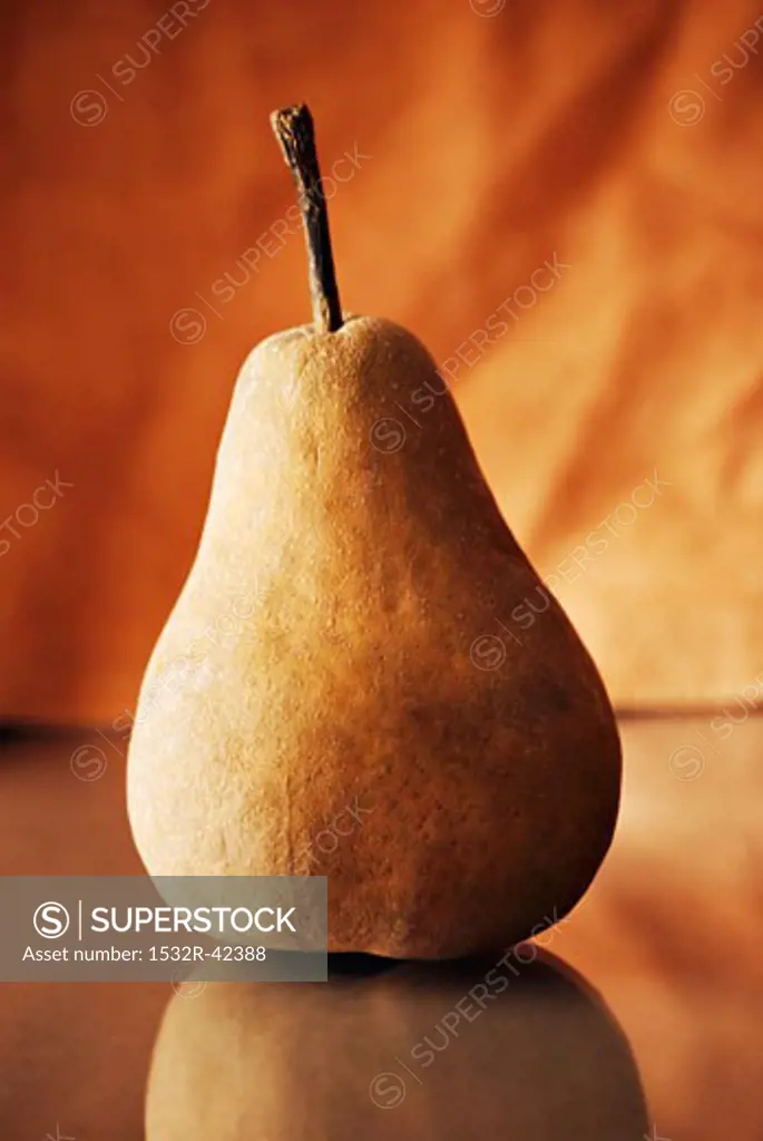 A Single Bosc Pear