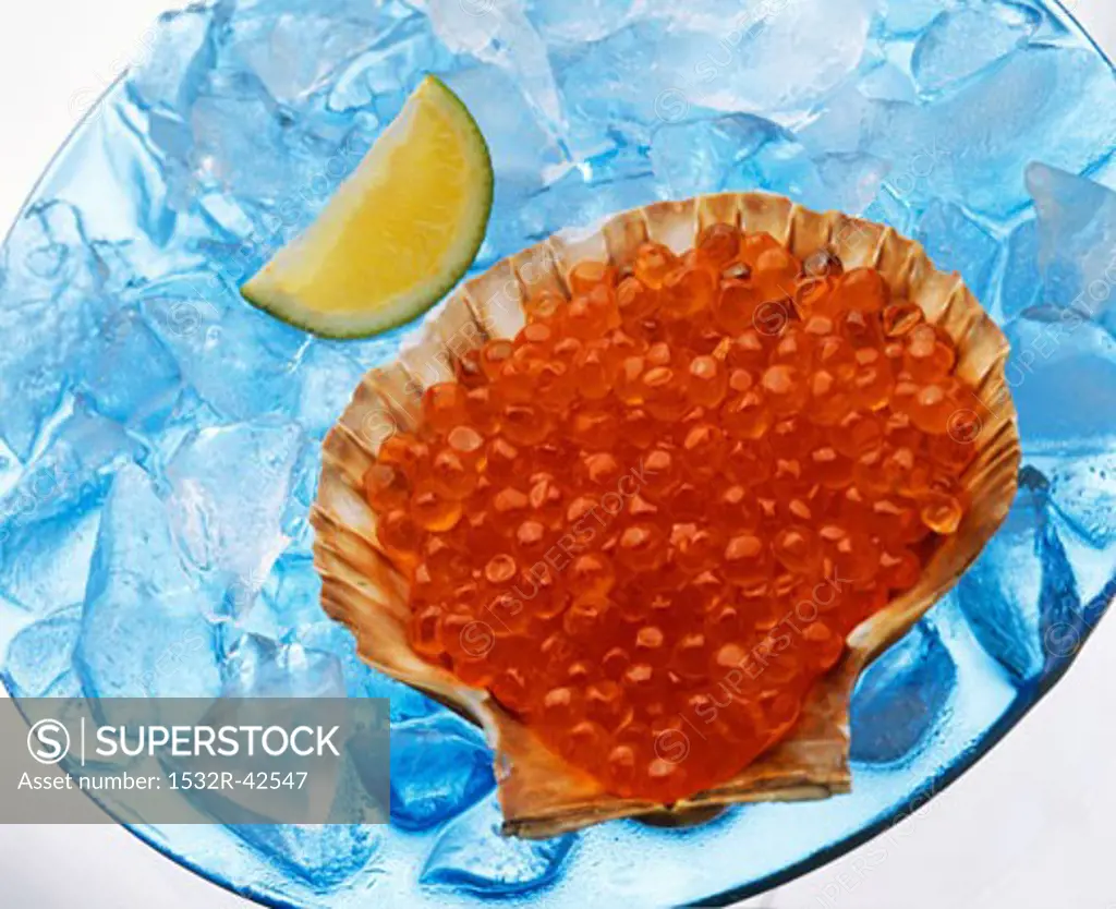 Salmon caviar in scallop shell on ice