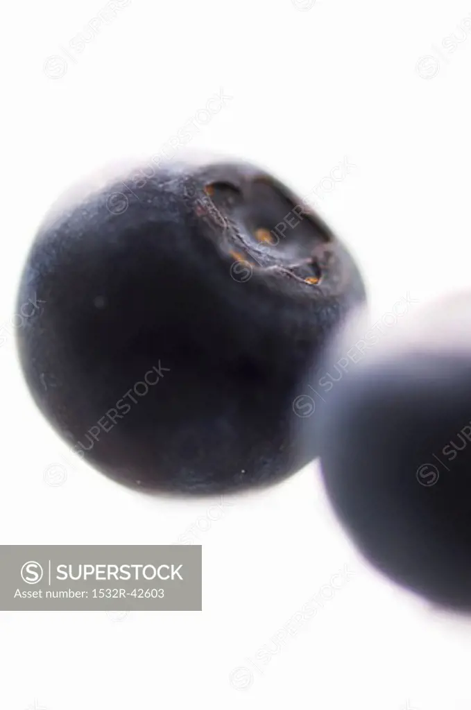 Two blueberries