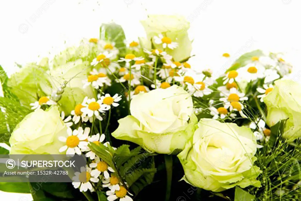 Bouquet of white roses, chamomile flowers and grasses