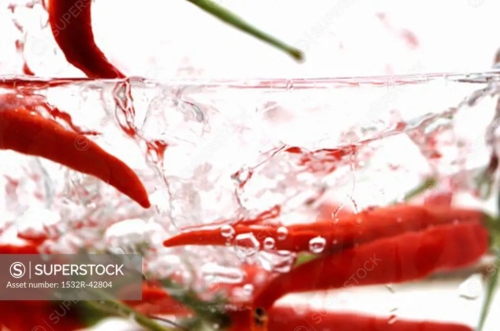 Chillies (variety Thai Red) in bubbling water