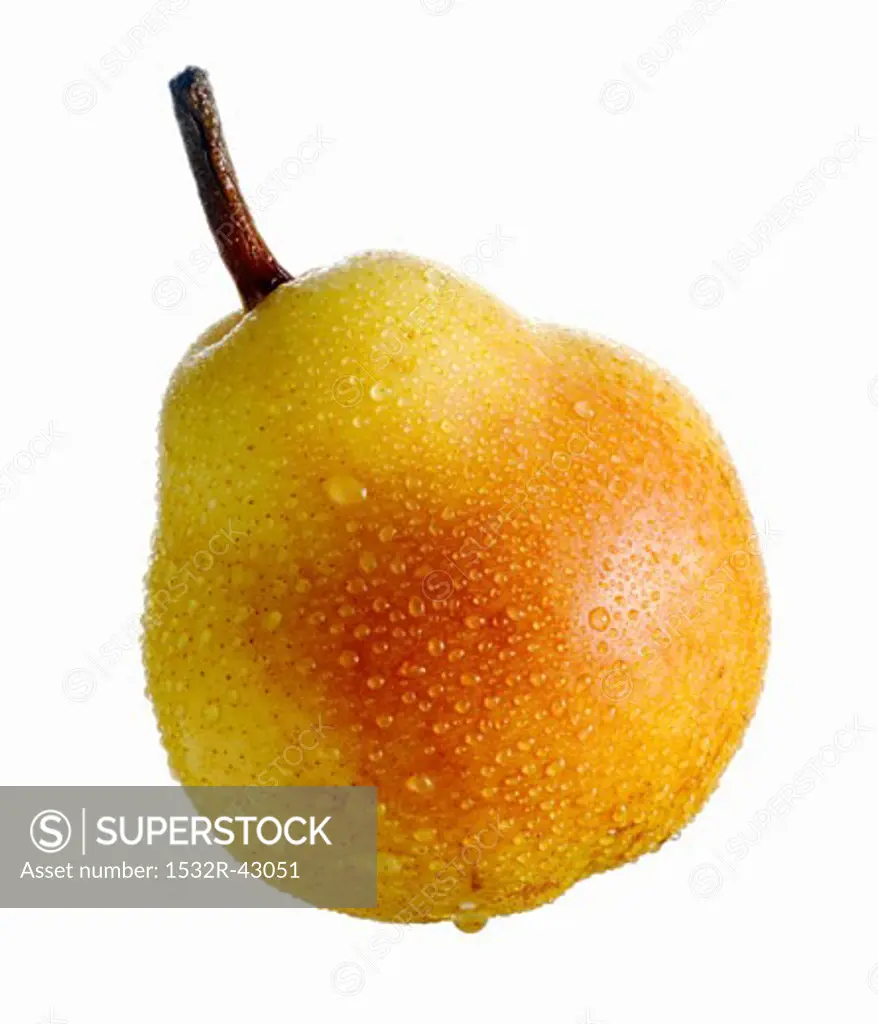 A Williams pear with drops of water