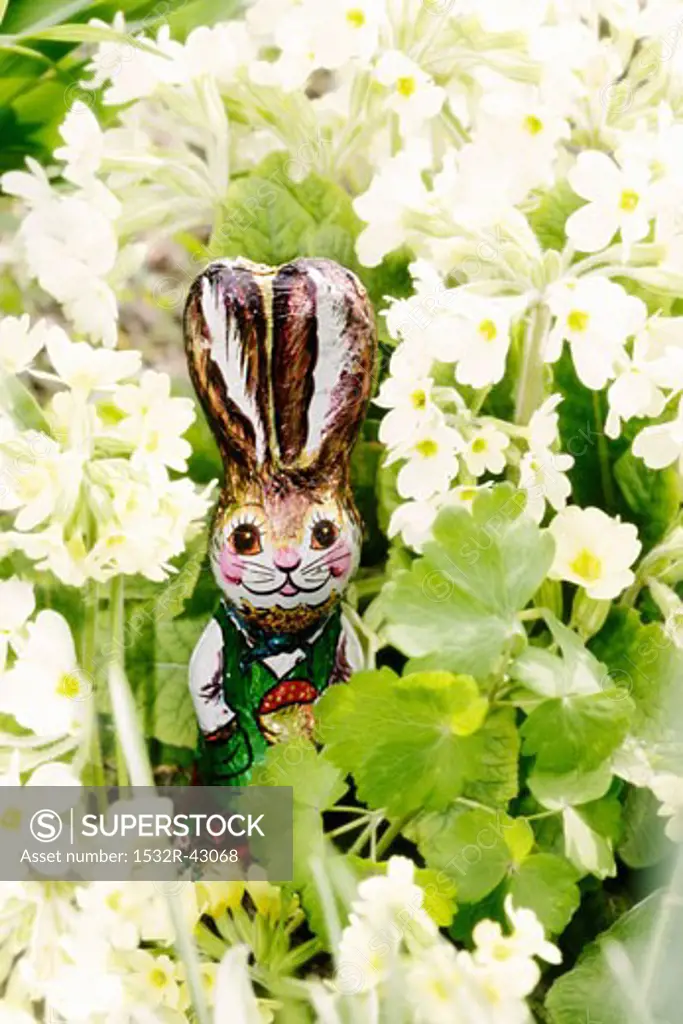 White spring flowers with chocolate Easter Bunny