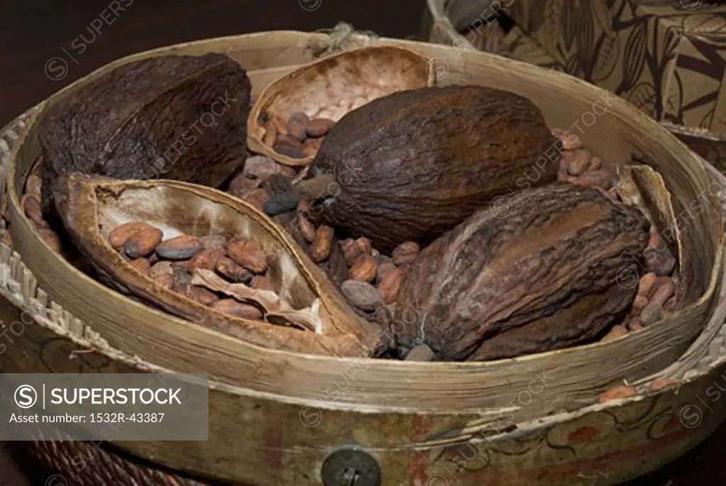 Cocoa fruits and cocoa beans