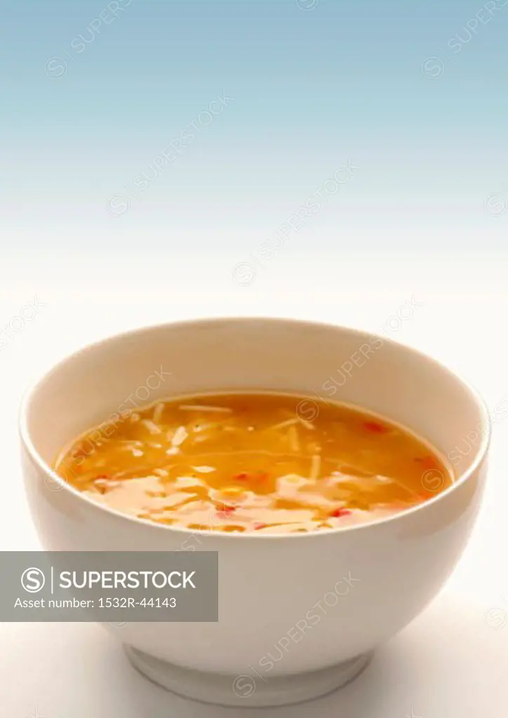 Chicken noodle soup in a soup bowl