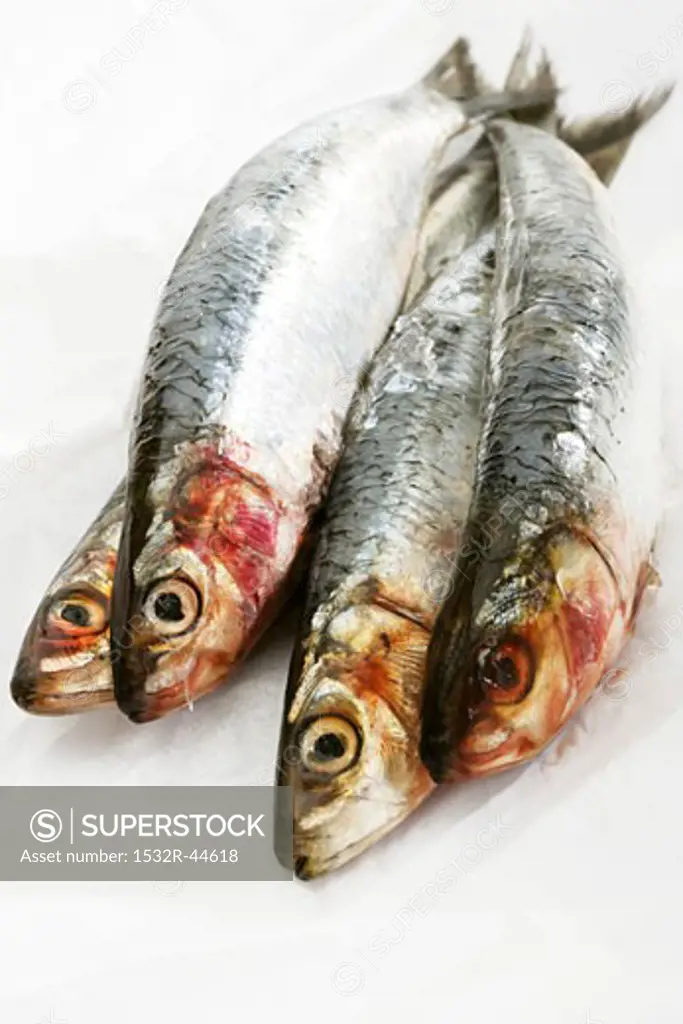 Four sardines