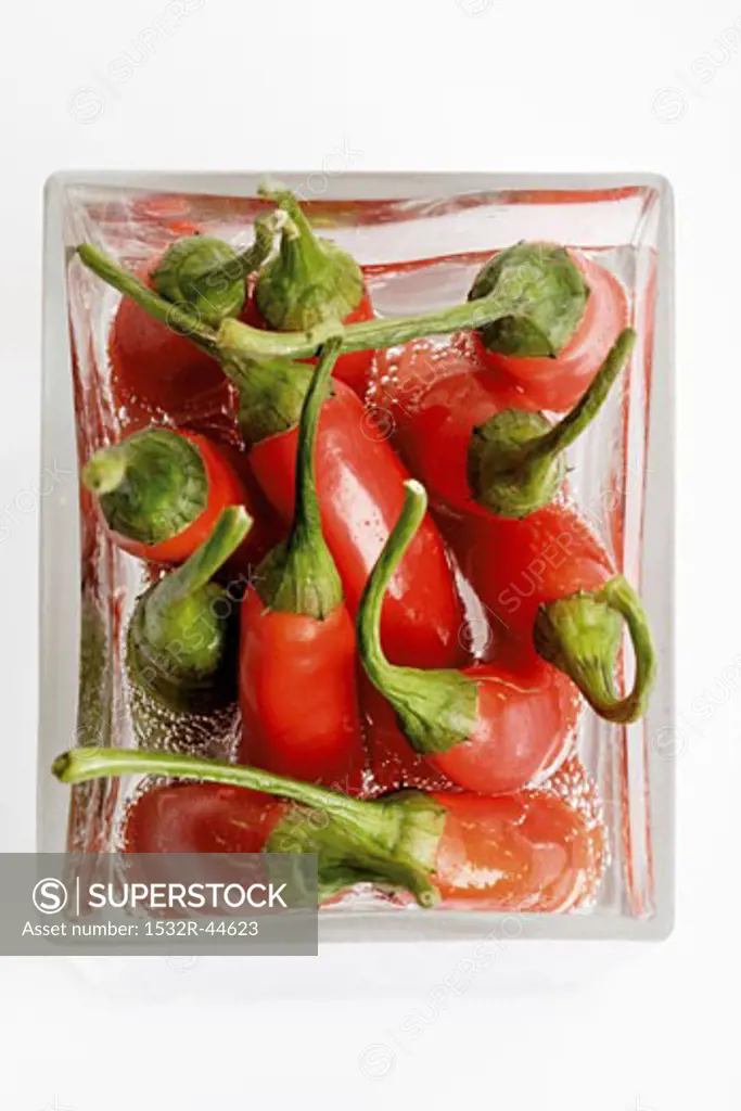 Chillies in a dish of water