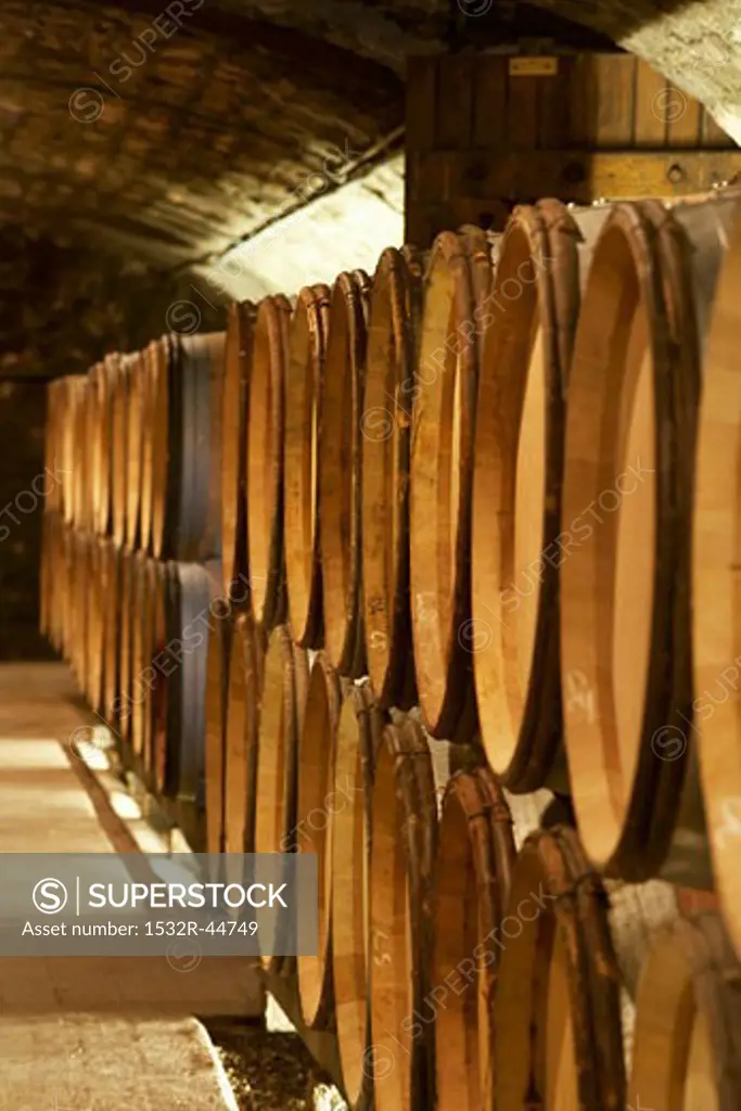 Wine barrels in Jean-Louis Trapet's wine cellar, Burgundy
