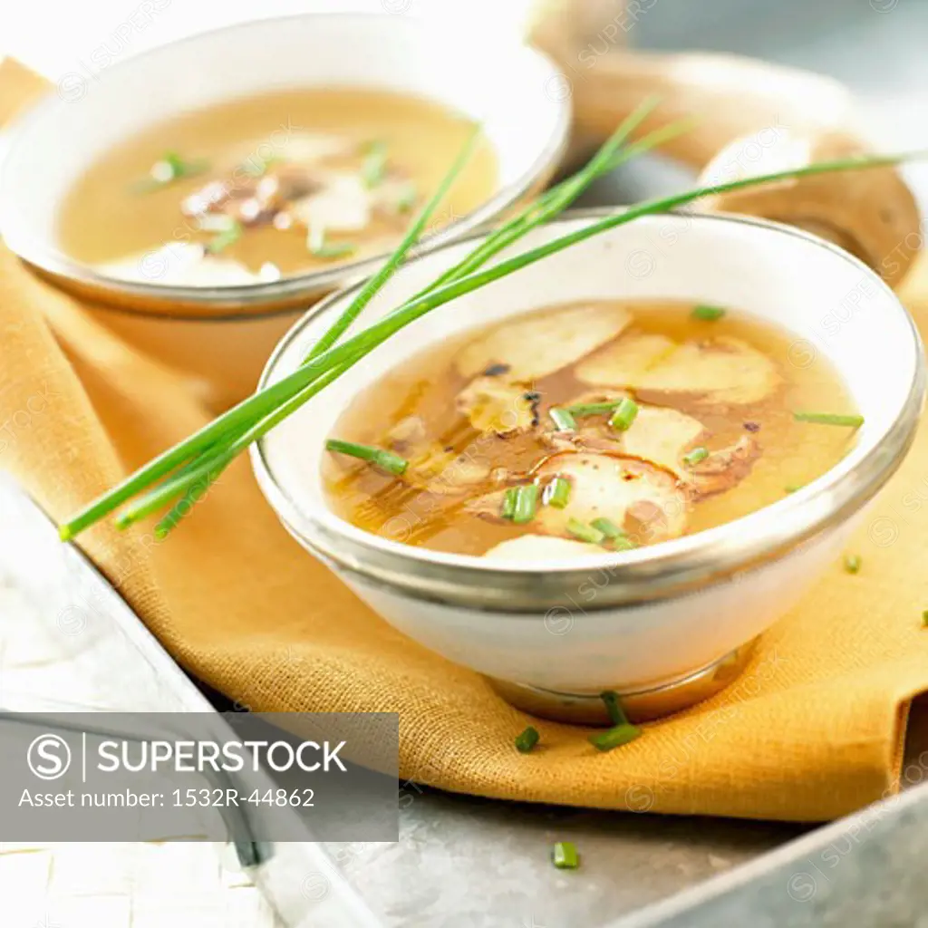 Cep soup in two bowls