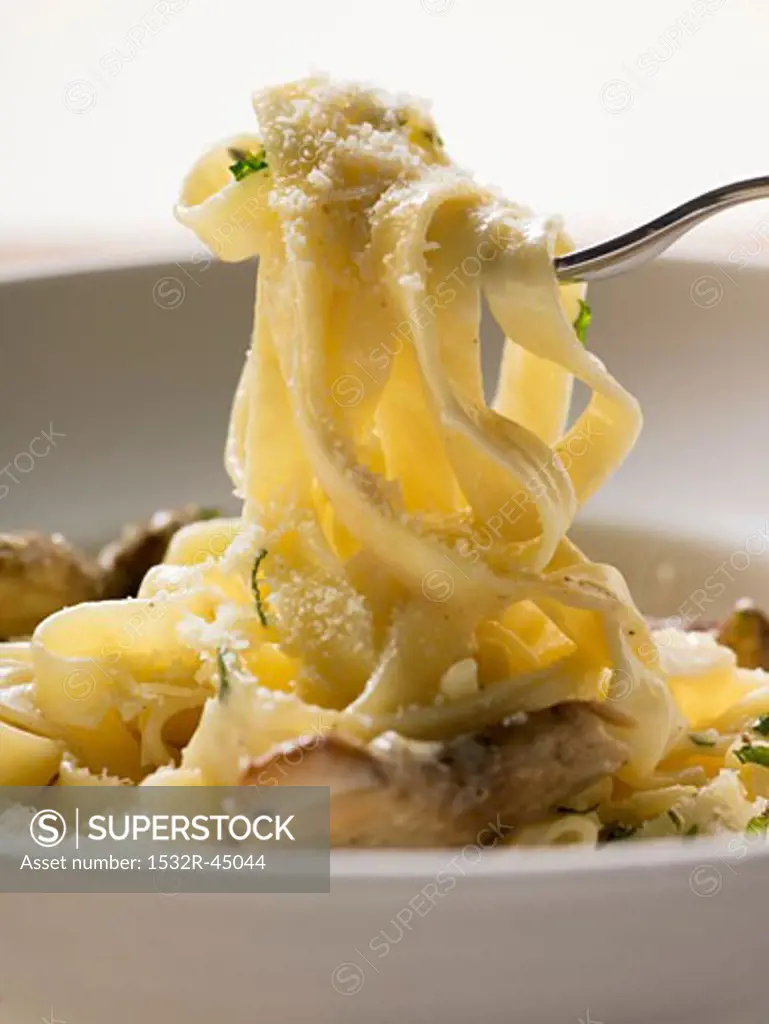 Tagliatelle with ceps on fork and plate