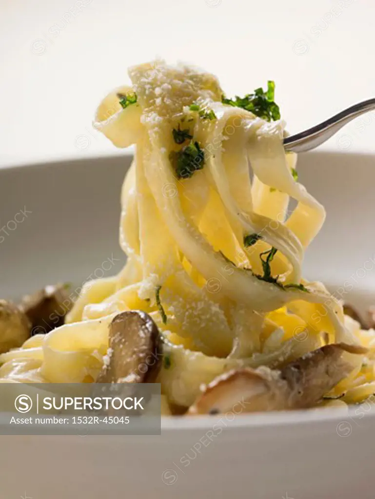 Tagliatelle with ceps and herbs on fork and plate
