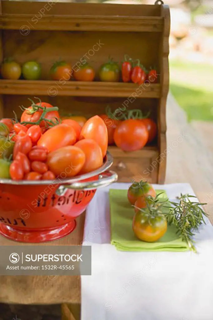 Various types of tomatoes in colander on table out of doors