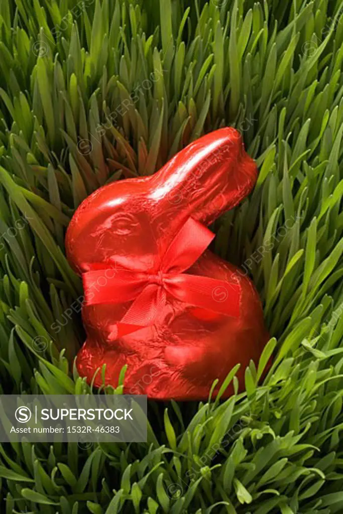 Red chocolate Easter Bunny in grass