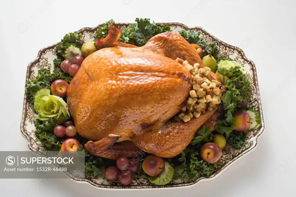 Stuffed turkey on platter (overhead view)