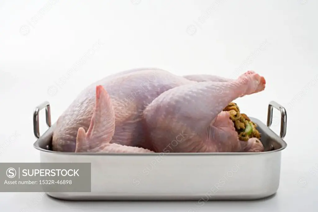 Raw stuffed turkey in roasting tin