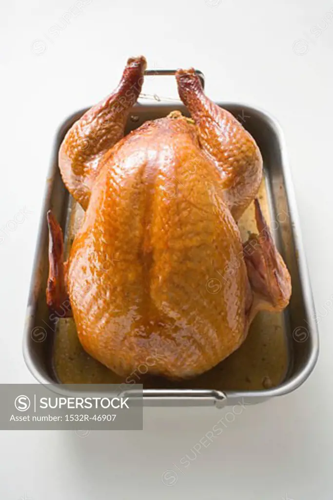 Stuffed roast turkey in roasting tin