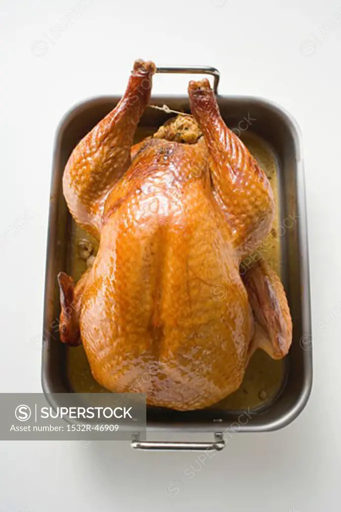 Stuffed roast turkey in roasting tin (overhead view)