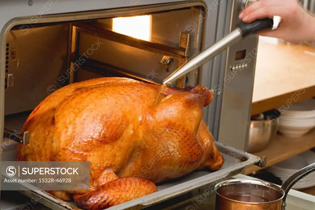 Basting turkey with roasting juices, in the oven