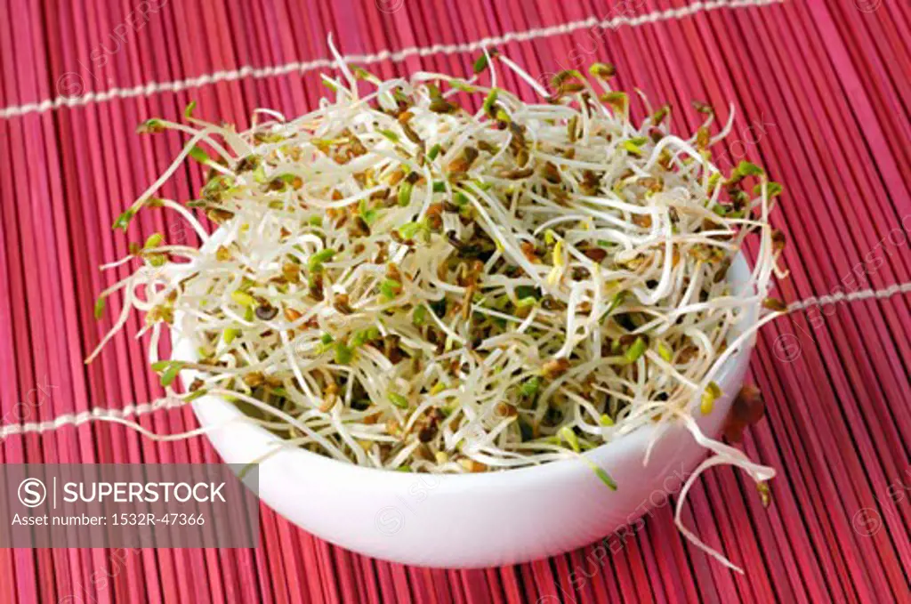 Alfalfa sprouts in white bowl
