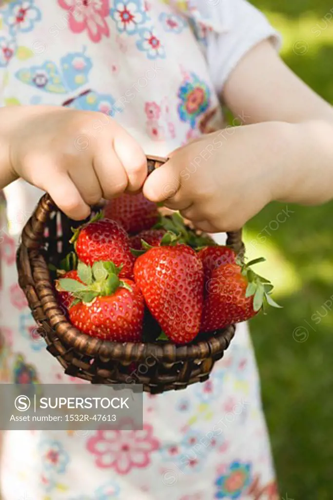 Child's hands holding basket of fresh strawberries