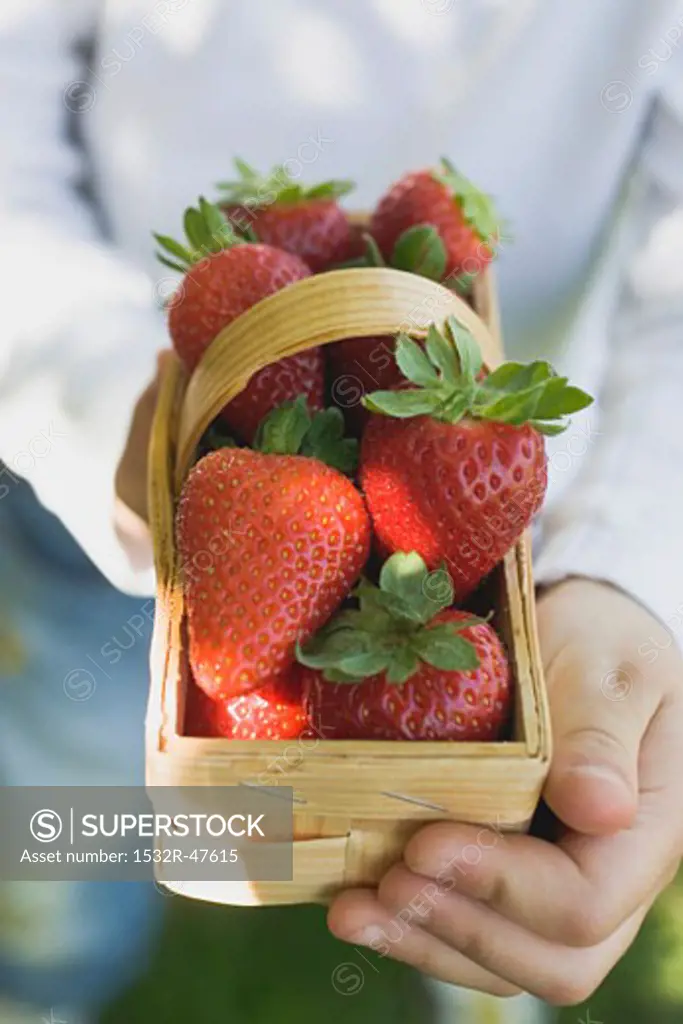 Person holding woodchip basket of fresh strawberries