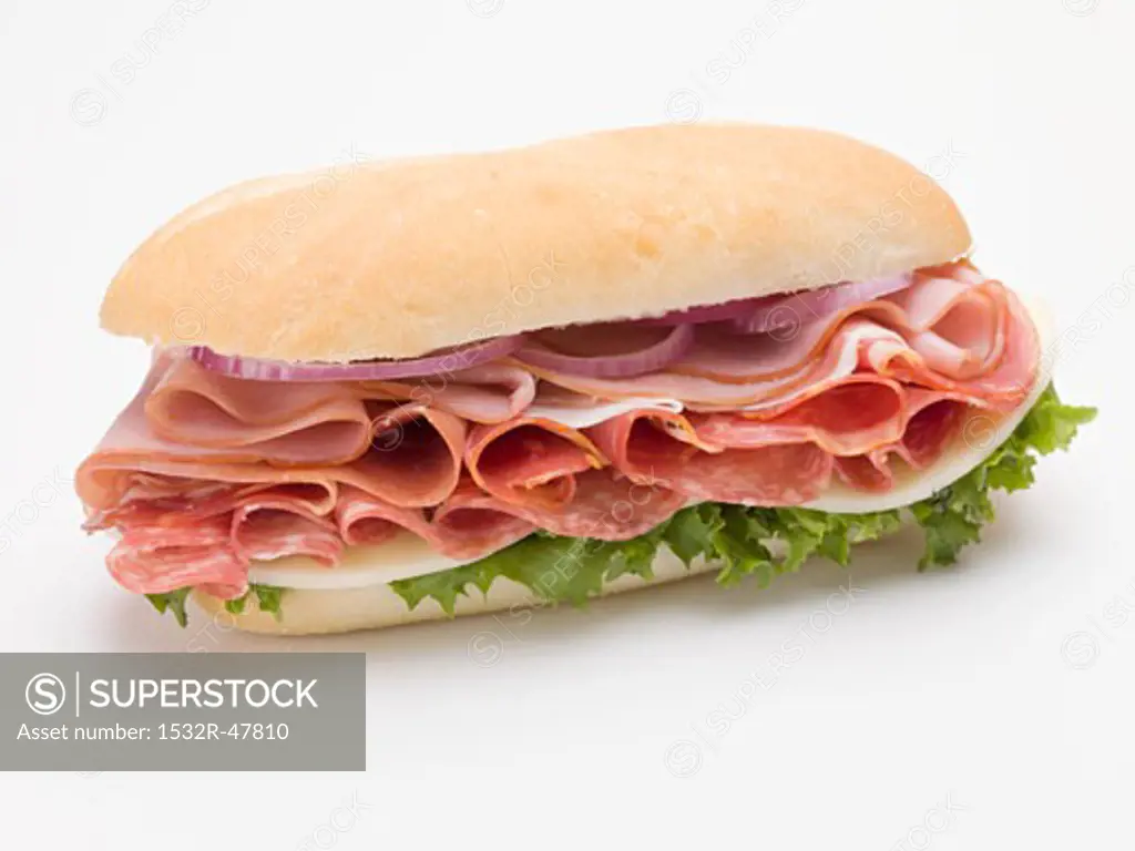Ham, salami and cheese sub sandwich