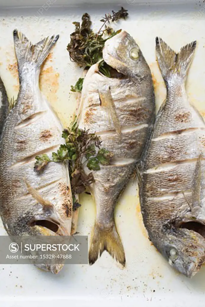 Roasted sea bream with parsley (overhead view)