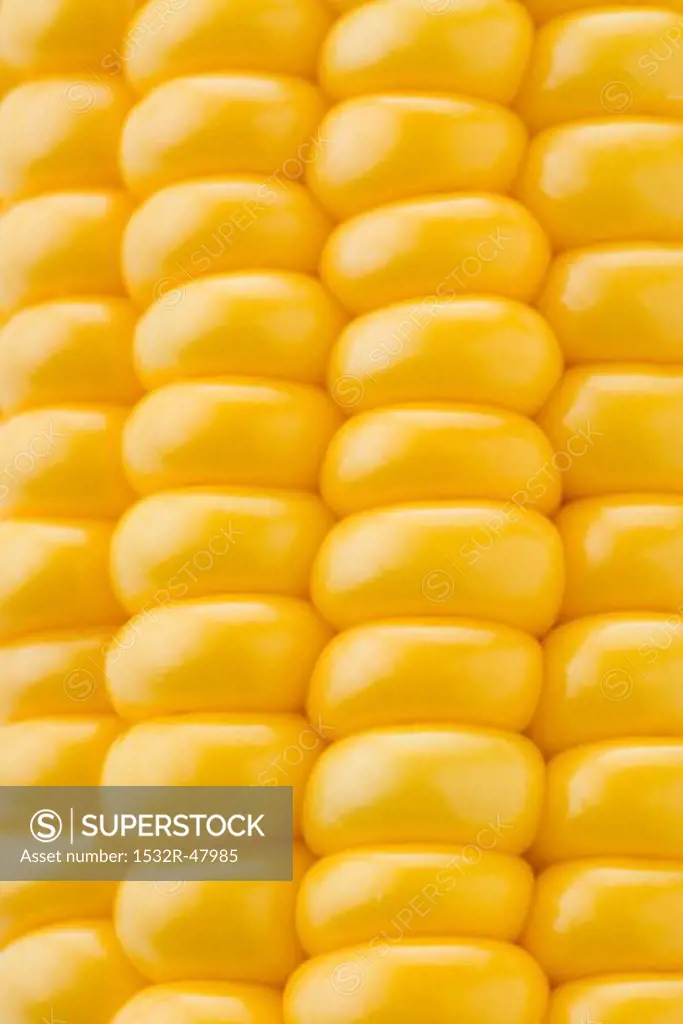 Corn on the cob (detail)