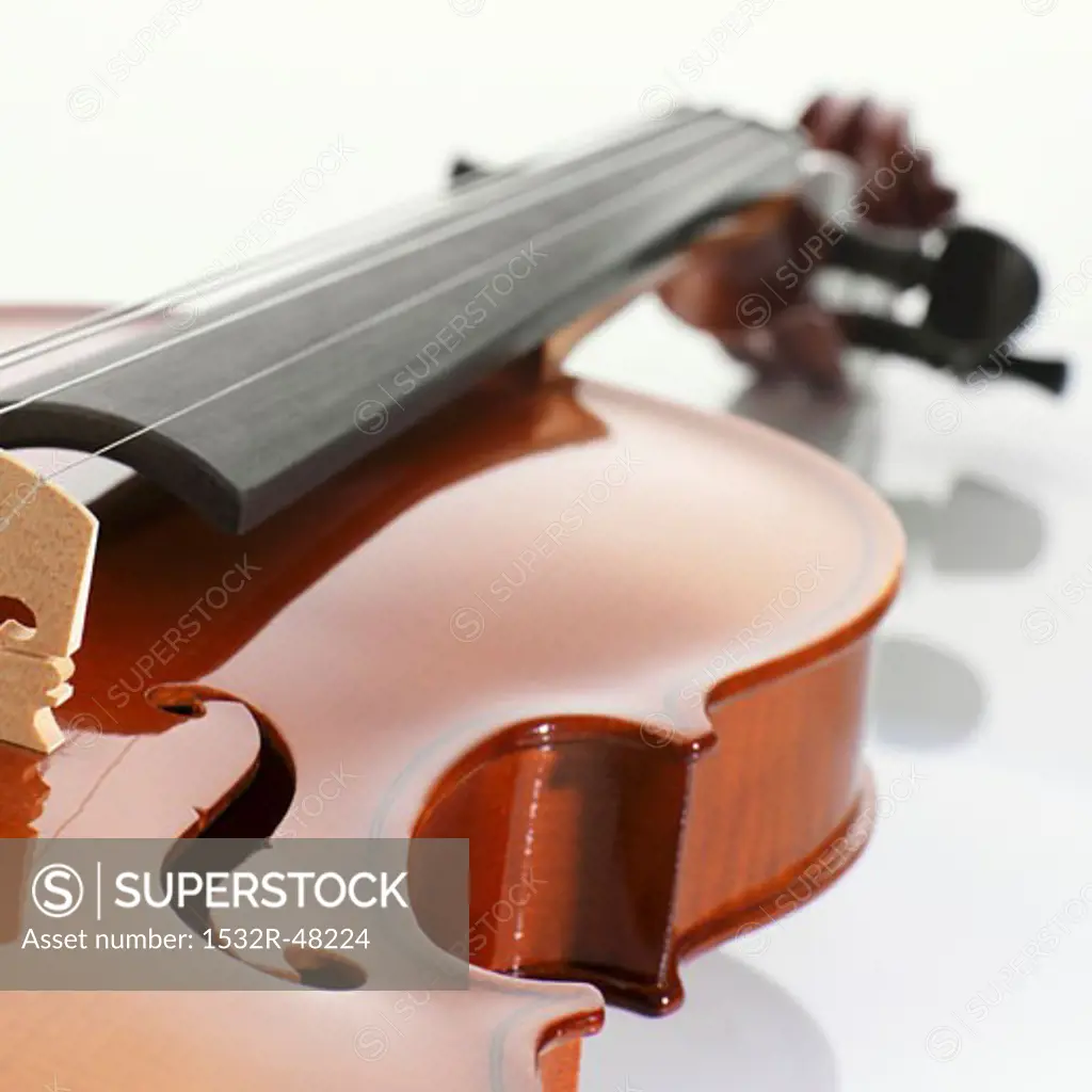 Violin (detail)