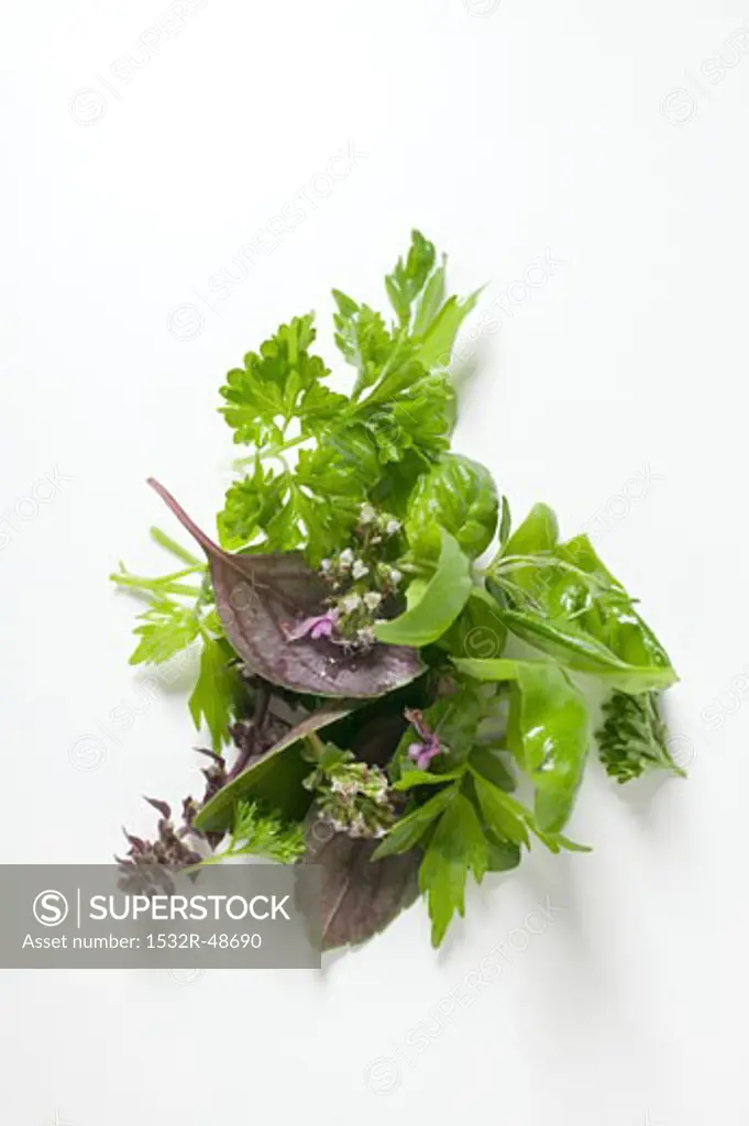 Various fresh herbs