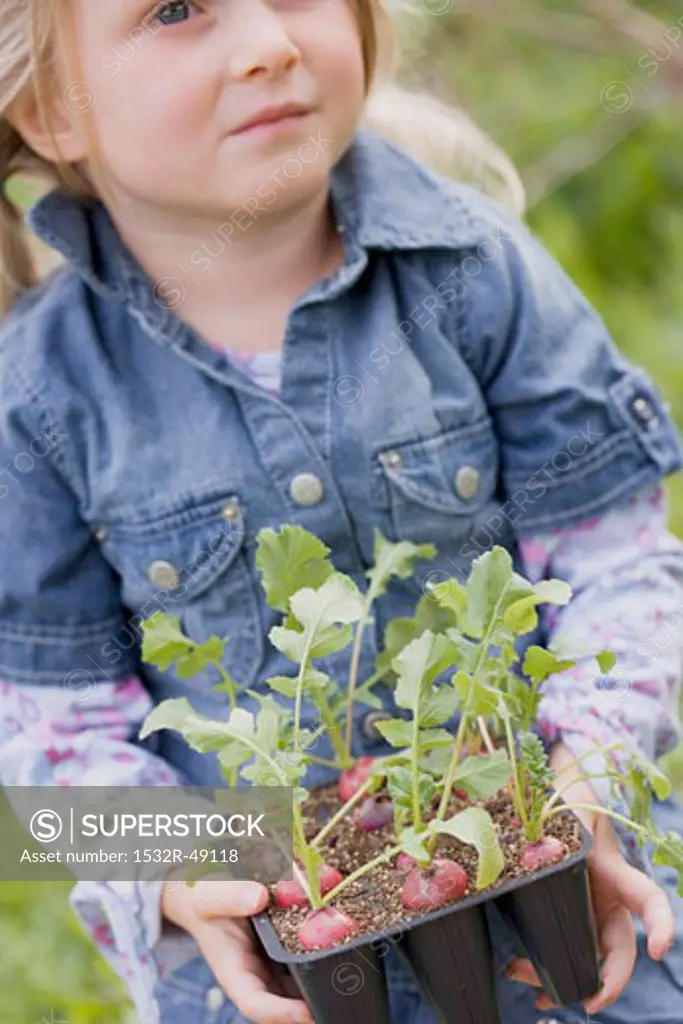 Little girl holding radish plants