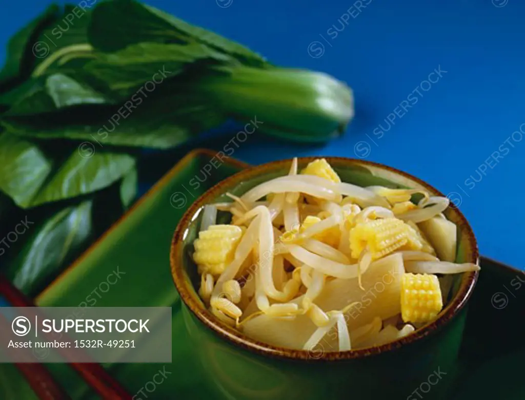 Small Bowl of Asian Bean Sprout, Bamboo and Corn Salad