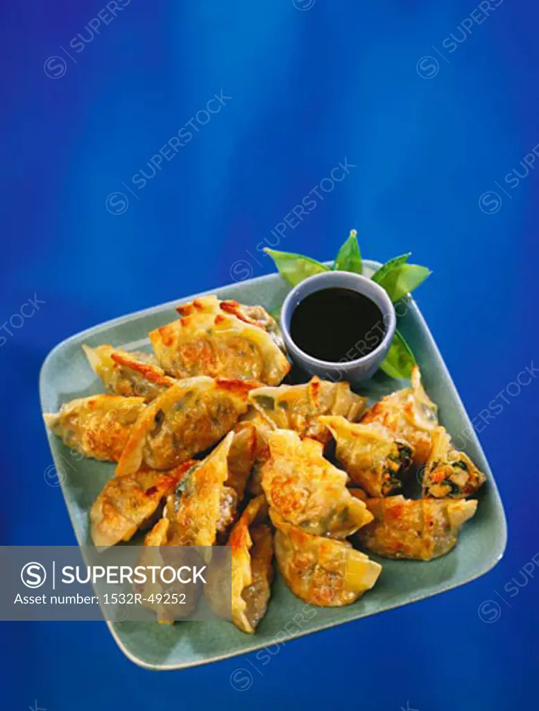 Platter of Pan Fried Dumplings