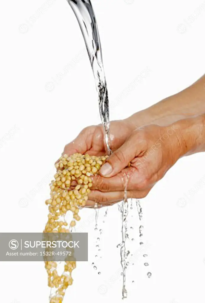 Someone holding two hands full of soya beans under running water
