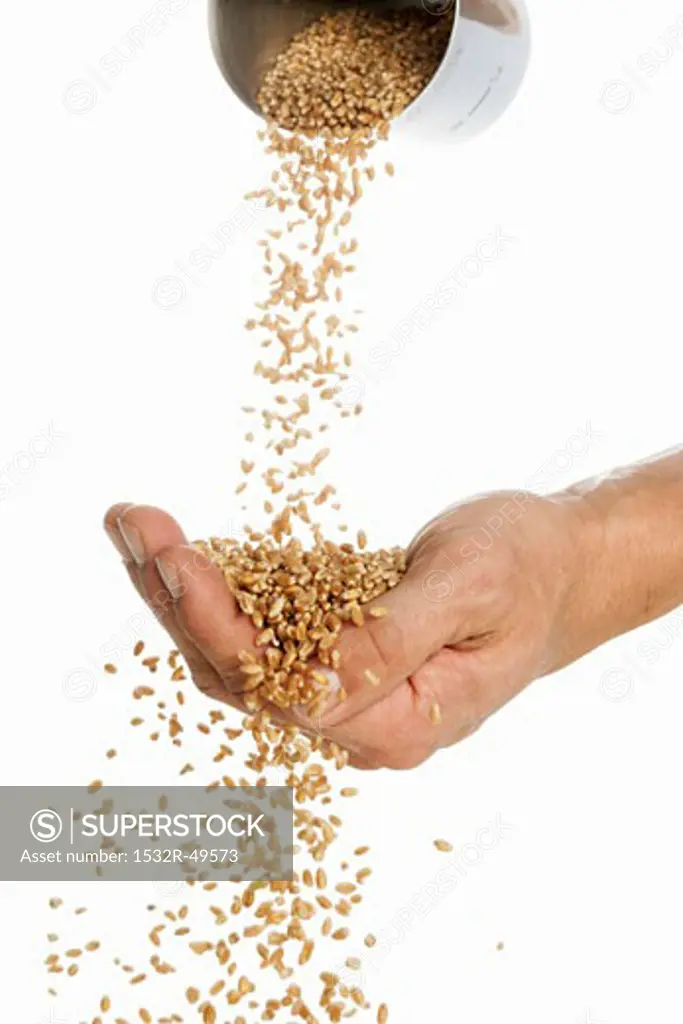 Someone pouring wheat into their hand