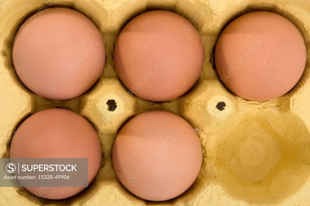 Five eggs in egg box (overhead view)