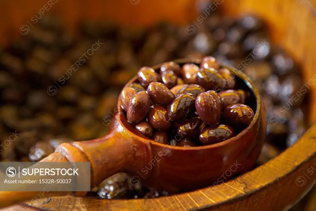 Pickled olives in wooden barrel, scoop