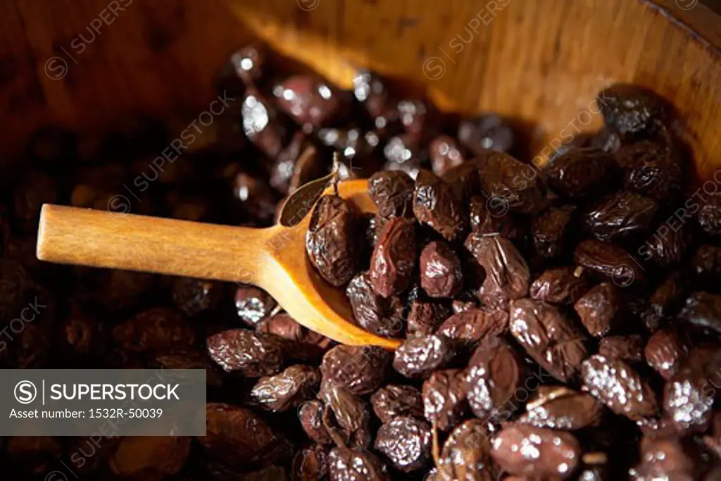 Pickled black olives in wooden barrel, scoop