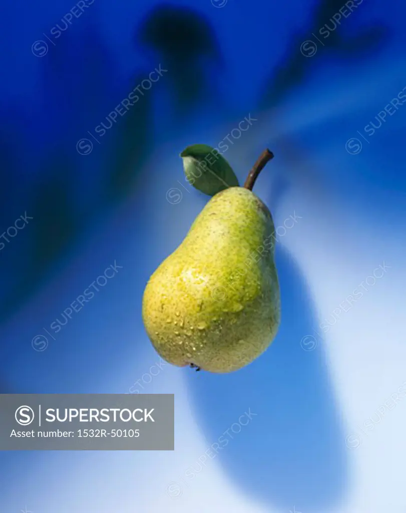 A Williams' Bon Chrétien pear