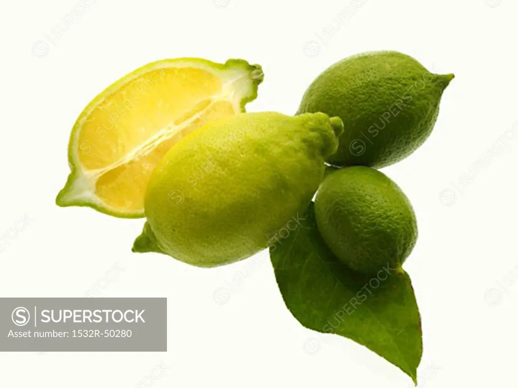 Unripe lemons with leaf