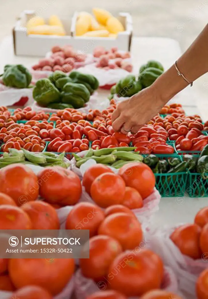 Hand Selecting Tomatoes from Market