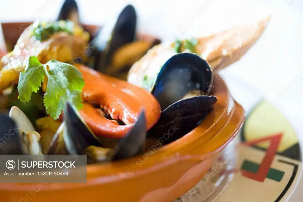 Bowl of Bouillabaisse with Lobster Claw and Mussels