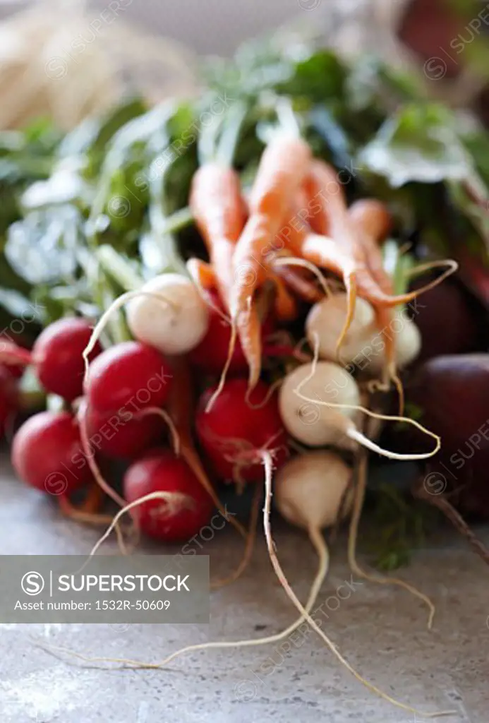 Radishes and carrots