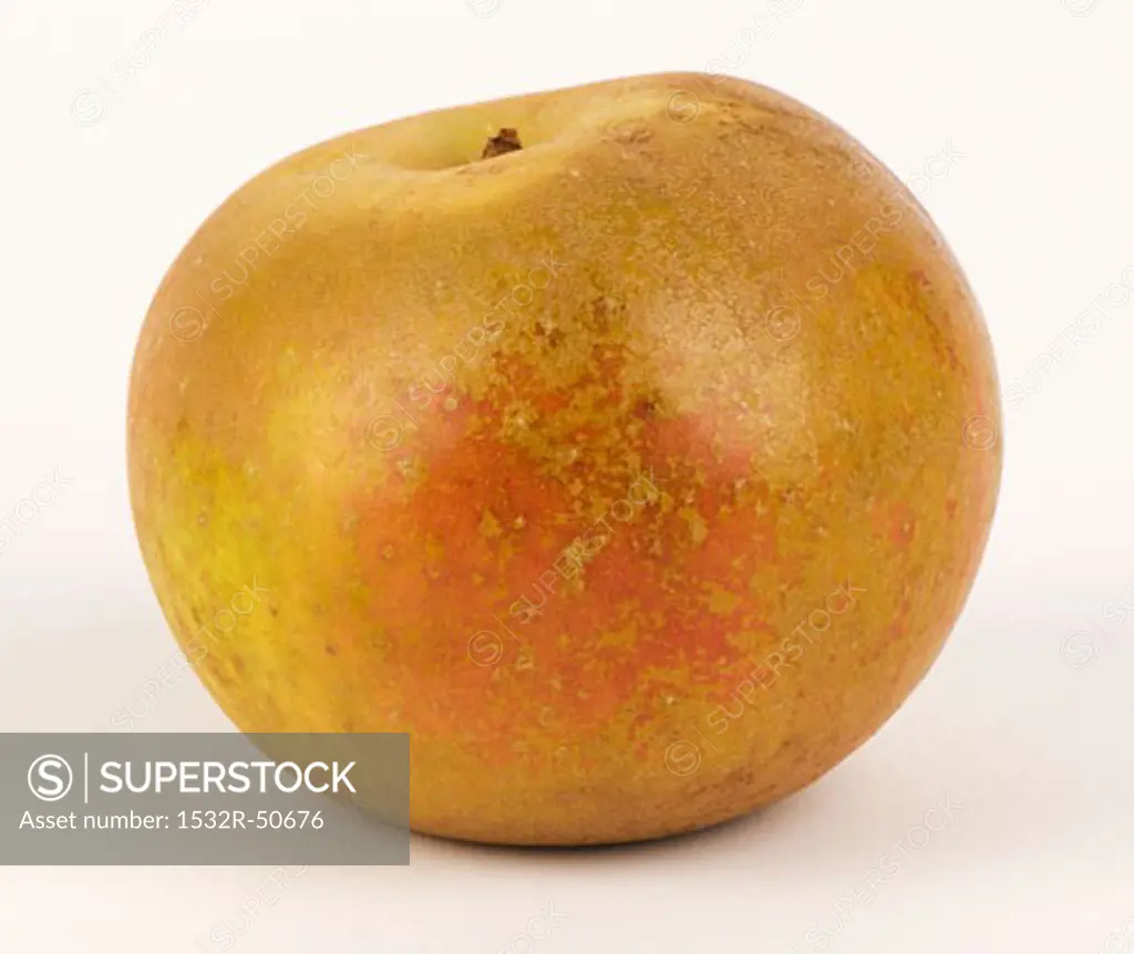 A Russet apple